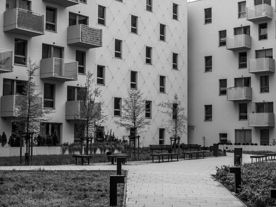Site avlusu