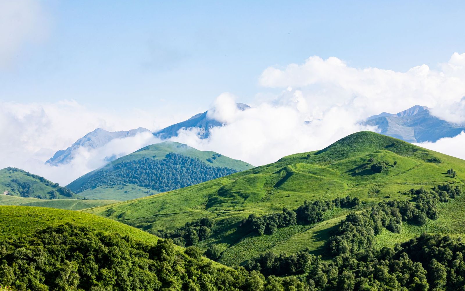 Karadeniz Yaylaları, Uzungöl ve Batum 2