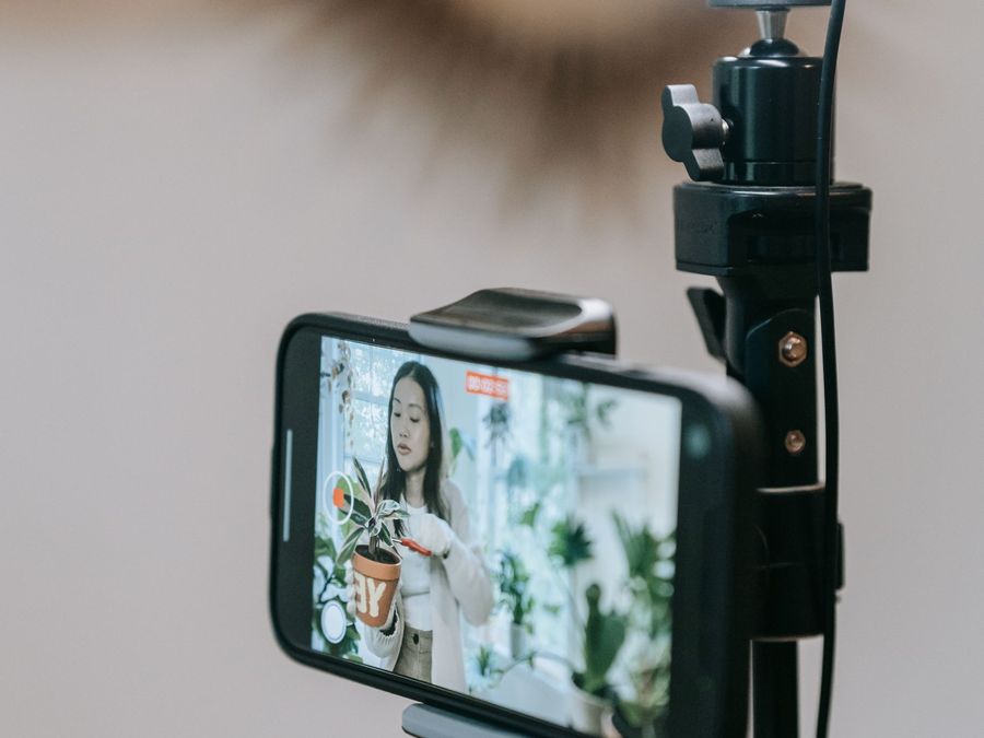 Influencer Yönetimi